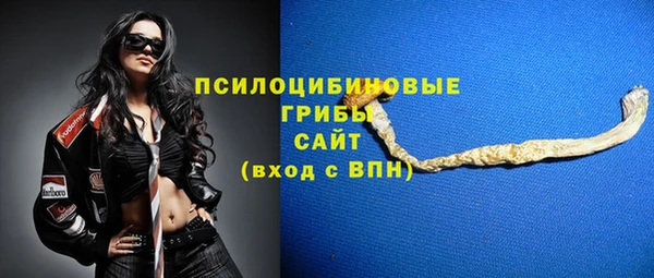эйфоретик Балахна