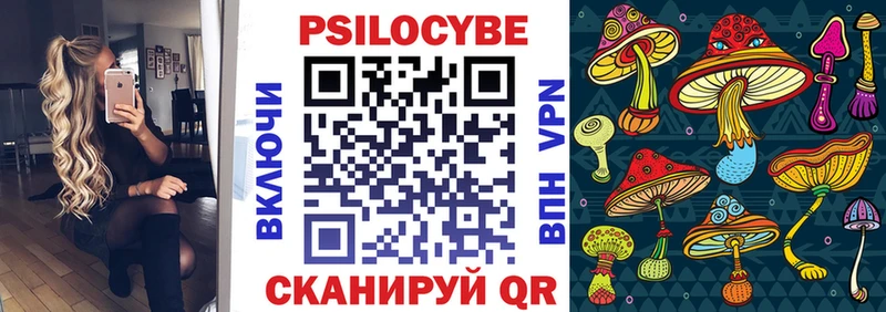 дарнет шоп  Новоуральск  Псилоцибиновые грибы Psilocybe 